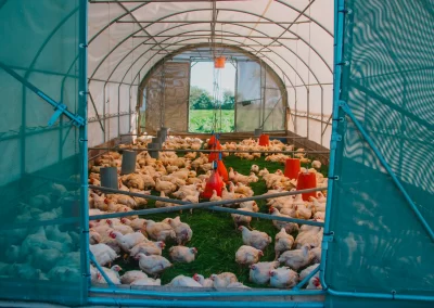 La Ferme de Kergo Bdc Production Plouider Photographe Drone 13