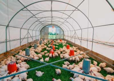 La Ferme de Kergo Bdc Production Plouider Photographe Drone 16