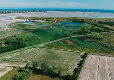 Transléonarde Marathon Finistere Bdc Production 14